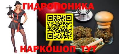 прущие грибы Пенза