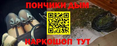 прущие грибы Пенза