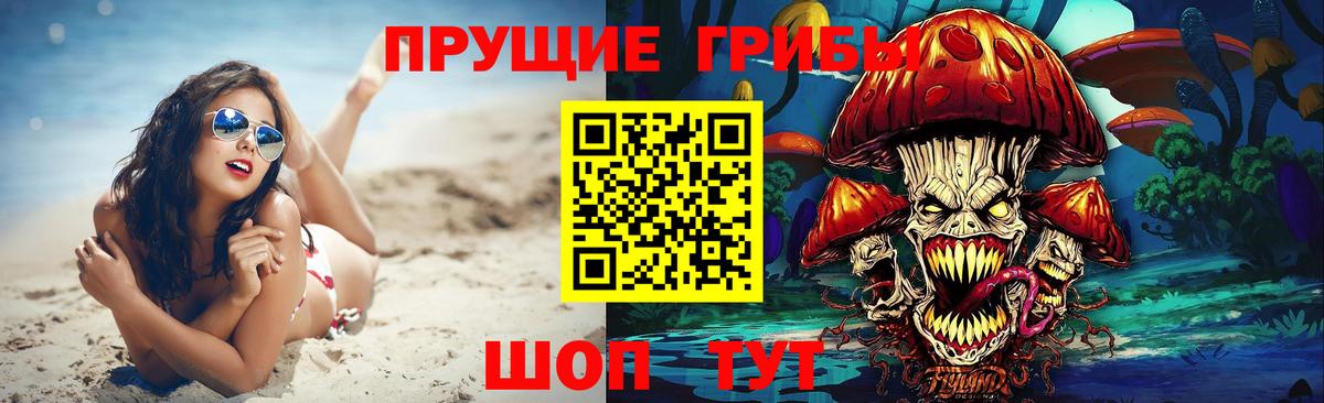 Орск  Галлюциногенные грибы Psilocybe  купить наркотики сайты  Вход с VPN 